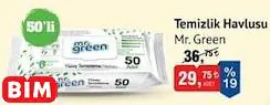 MR. GREEN TEMİZLİK HAVLUSU